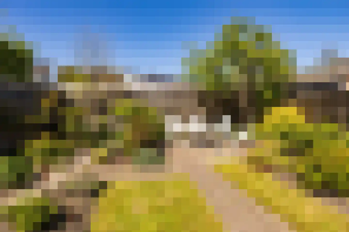 Tillefeart 7 Hurdegaryp thumbnail 52