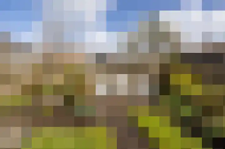 Tillefeart 7 Hurdegaryp thumbnail 53
