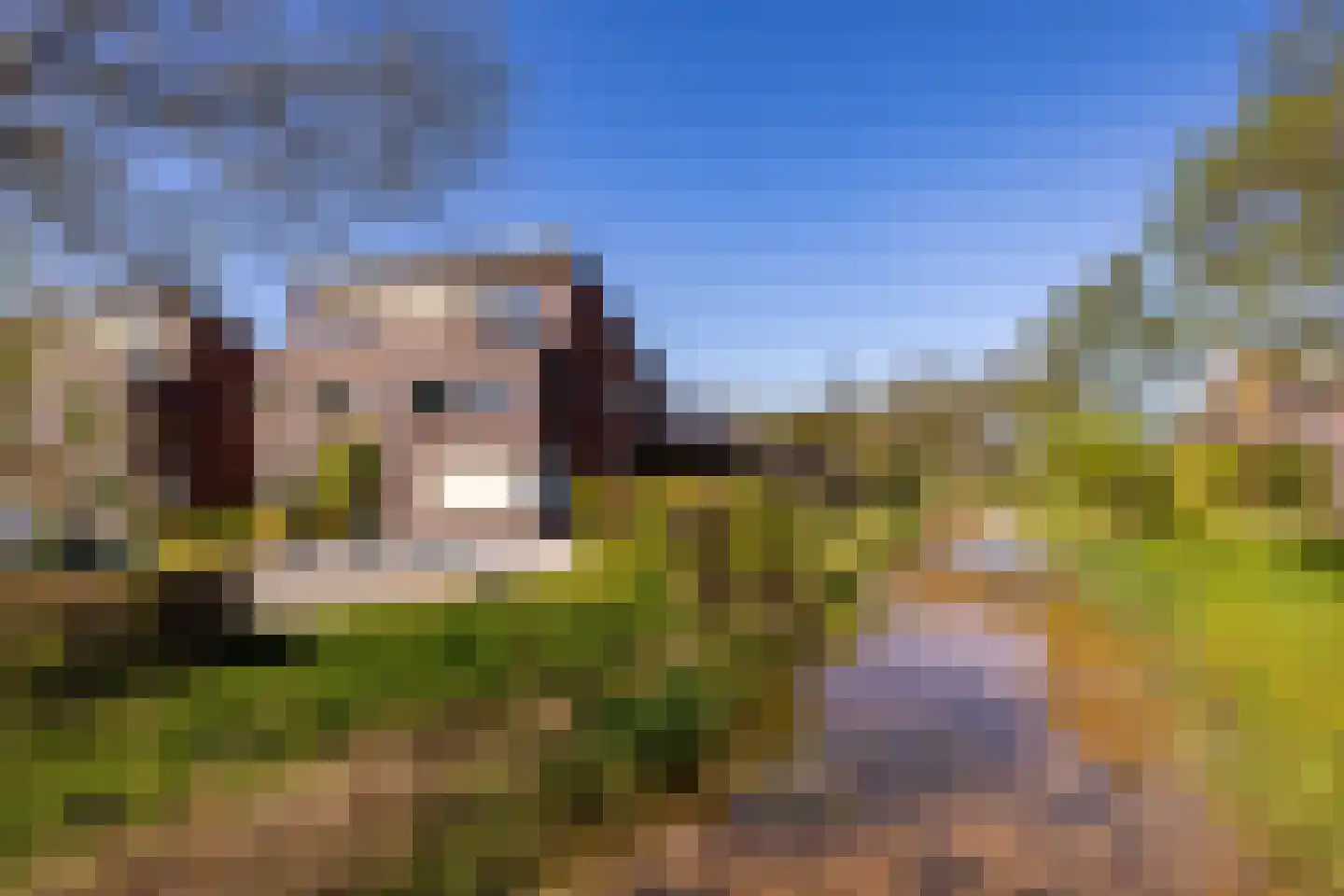 Tillefeart 7 Hurdegaryp thumbnail 56
