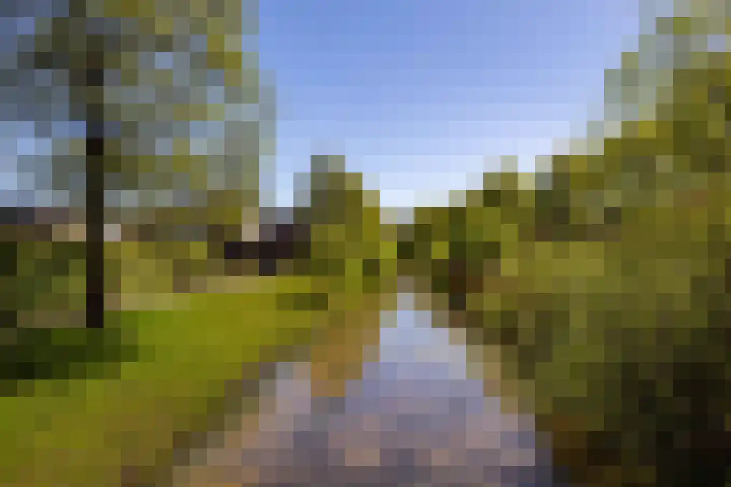 Tillefeart 7 Hurdegaryp thumbnail 57