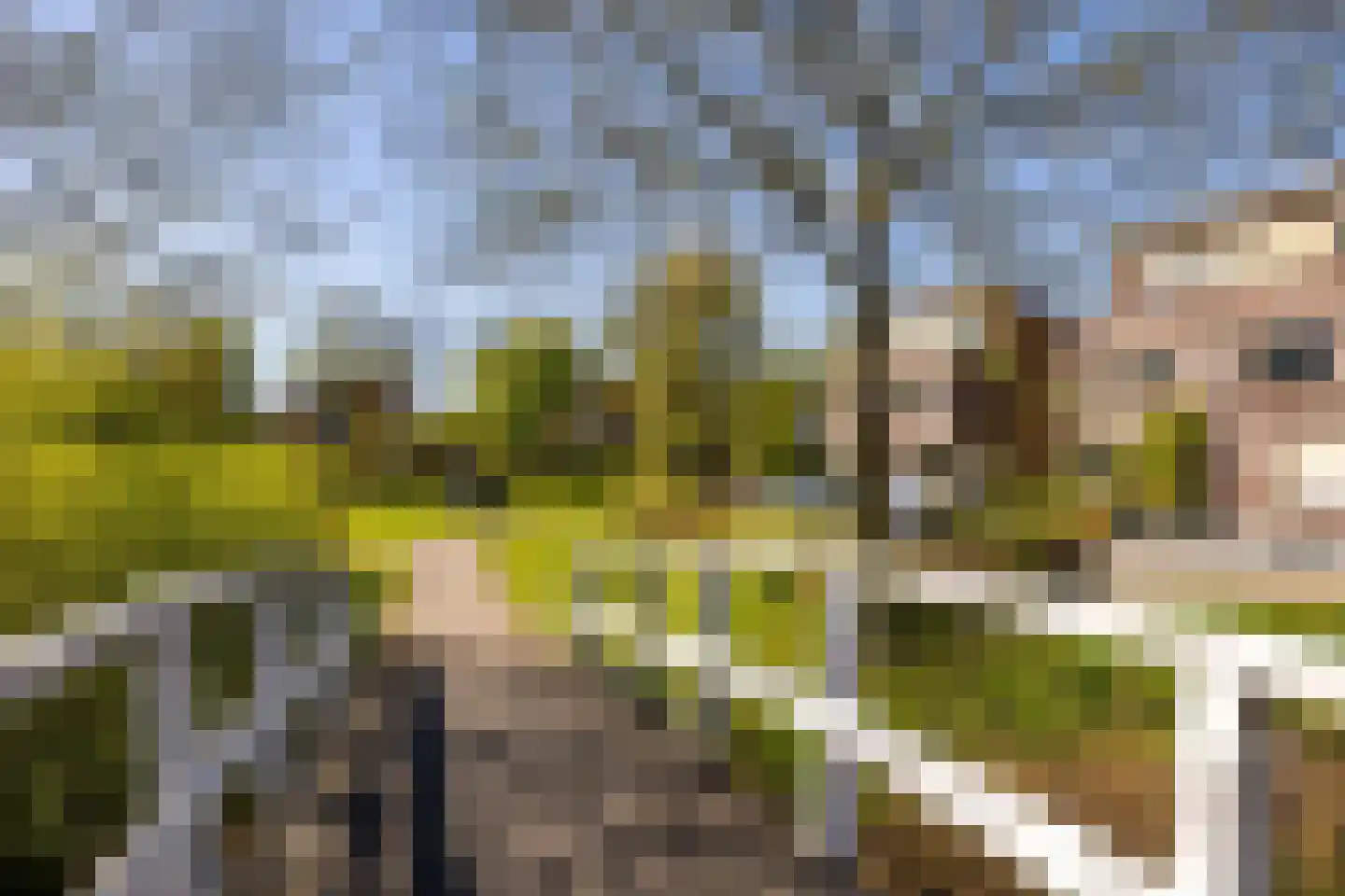 Tillefeart 7 Hurdegaryp thumbnail 58