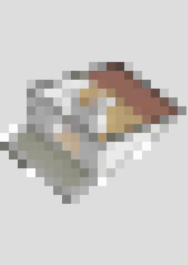 Tillefeart 7 Hurdegaryp thumbnail 59