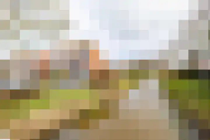 Tillefeart 7 Hurdegaryp thumbnail 6