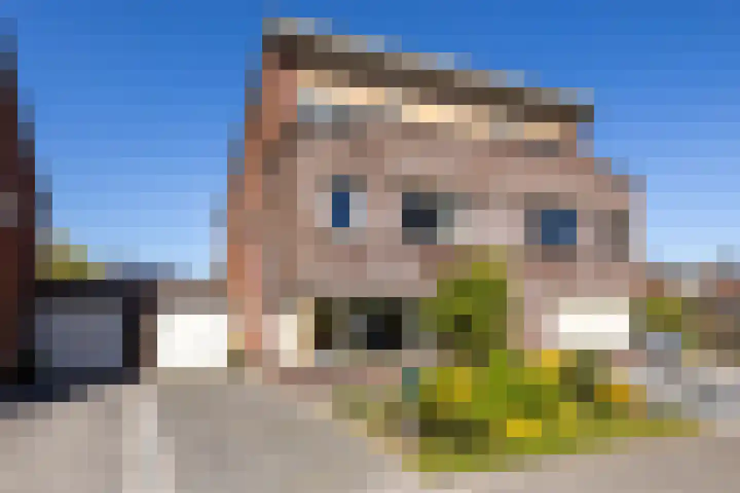 Tillefeart 7 Hurdegaryp thumbnail 6