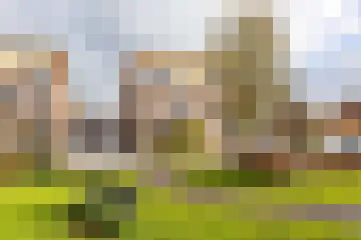 Tillefeart 7 Hurdegaryp thumbnail 7