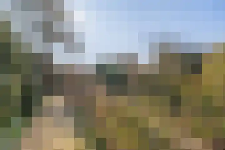 Tillenhof 6 Huisduinen thumbnail 19