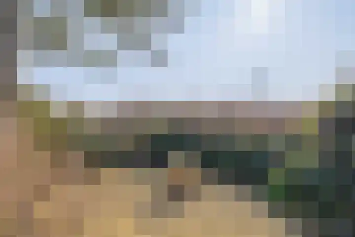 Tillenhof 6 Huisduinen thumbnail 20