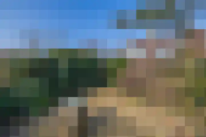 Tillenhof 6 Huisduinen thumbnail 21
