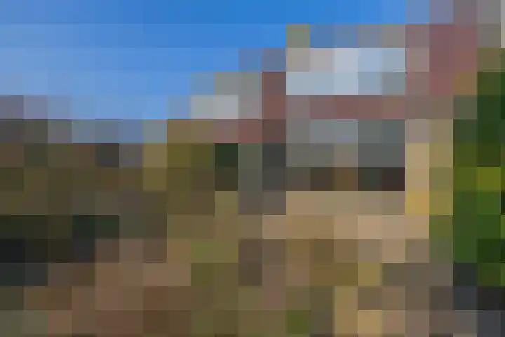 Tillenhof 6 Huisduinen thumbnail 22
