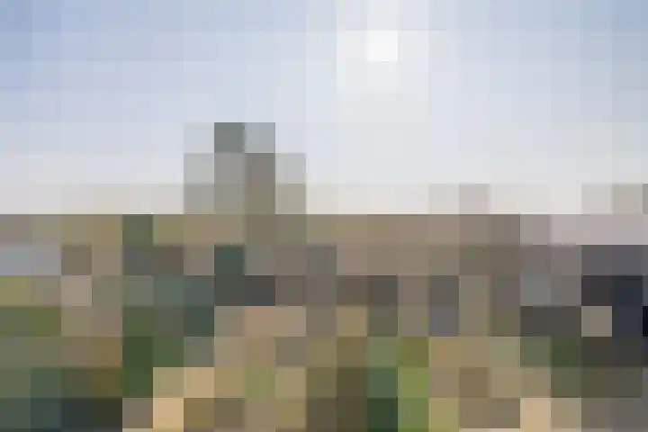 Tillenhof 6 Huisduinen thumbnail 28