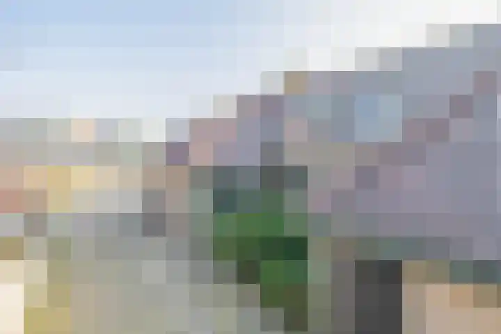 Tillenhof 6 Huisduinen thumbnail 4