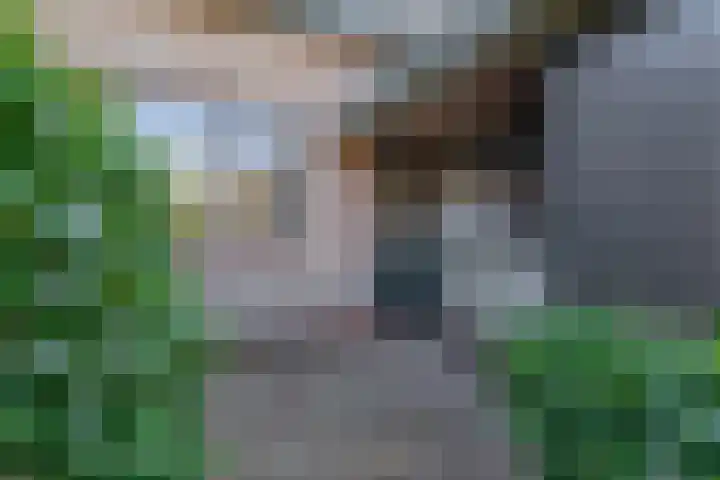 Tillenhof 6 Huisduinen thumbnail 5