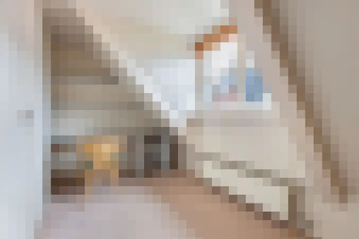 Tillewei 13 Wjelsryp thumbnail 20