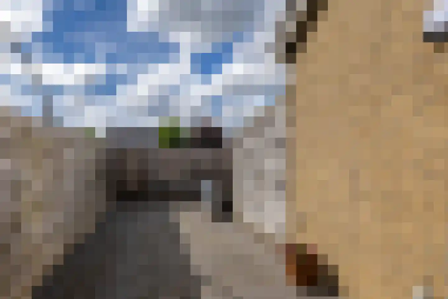 Tillewei 16 Wjelsryp thumbnail 10