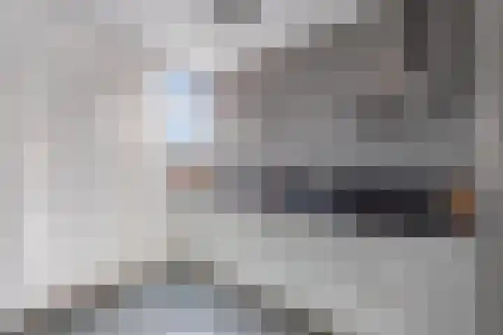 Tillewei 22 Wjelsryp thumbnail 15