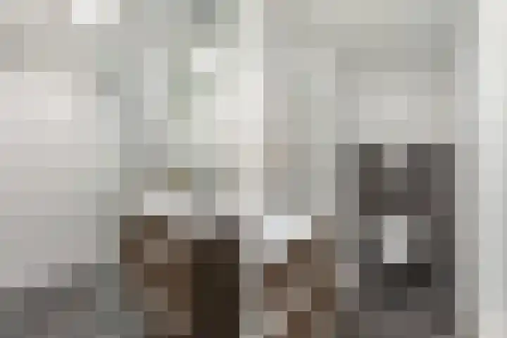 Tillewei 22 Wjelsryp thumbnail 27