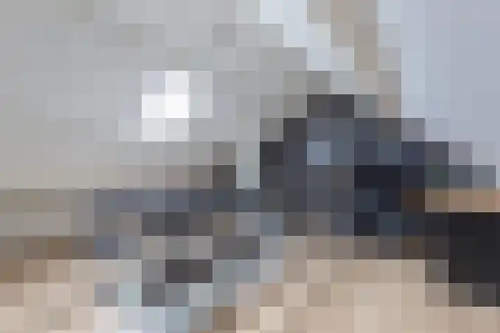Tillewei 22 Wjelsryp thumbnail 29