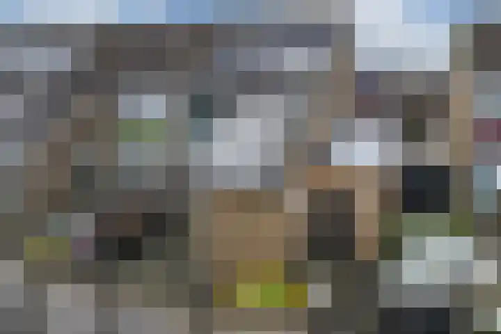 Tillewei 22 Wjelsryp thumbnail 32