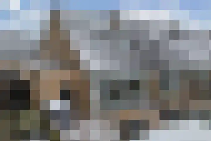Tillewei 22 Wjelsryp thumbnail 36