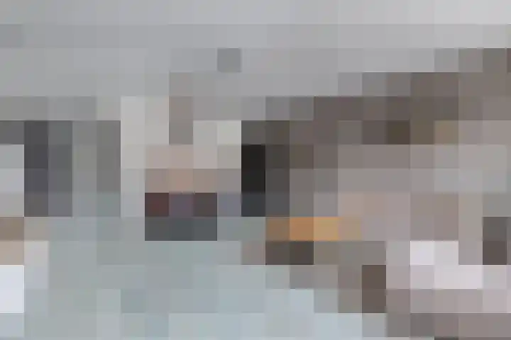Tillewei 22 Wjelsryp thumbnail 4
