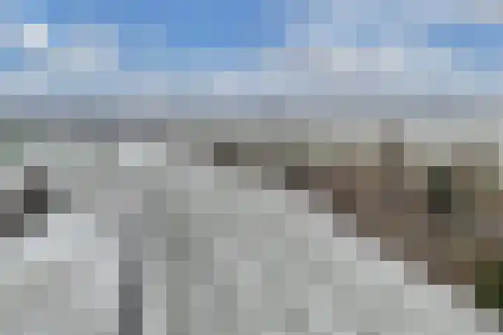 Tillewei 22 Wjelsryp thumbnail 42