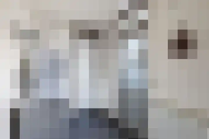 Tillewei 34 Wjelsryp thumbnail 15