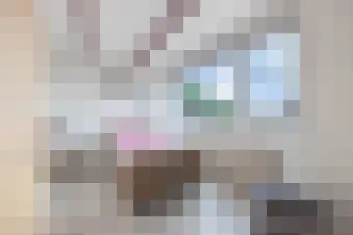 Tillewei 34 Wjelsryp thumbnail 19