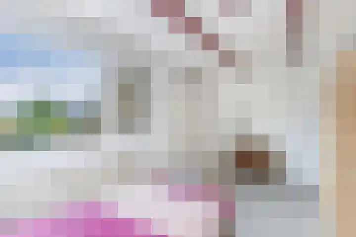 Tillewei 34 Wjelsryp thumbnail 20