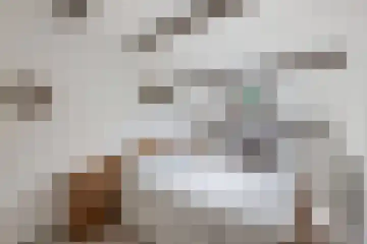Tillewei 34 Wjelsryp thumbnail 22