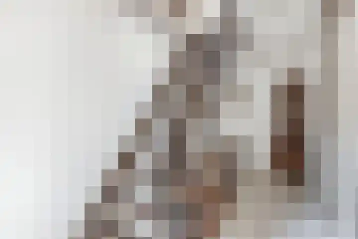 Tillewei 34 Wjelsryp thumbnail 26