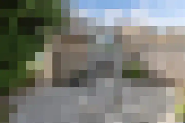 Tillewei 34 Wjelsryp thumbnail 28