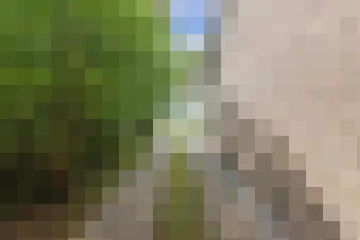 Tillewei 34 Wjelsryp thumbnail 33