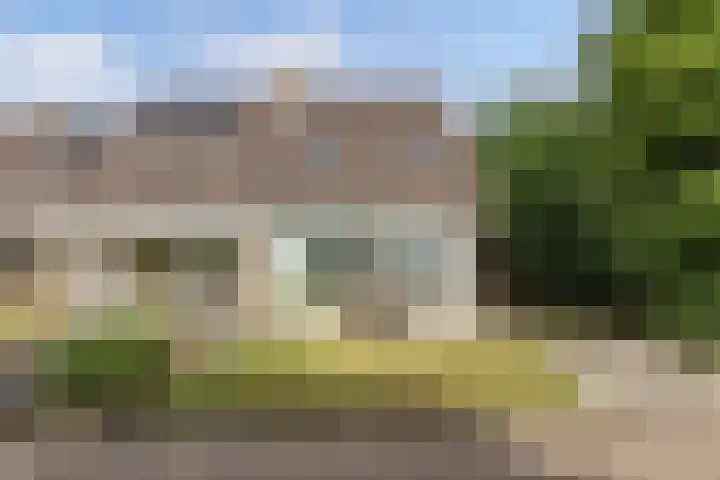 Tillewei 34 Wjelsryp thumbnail 34