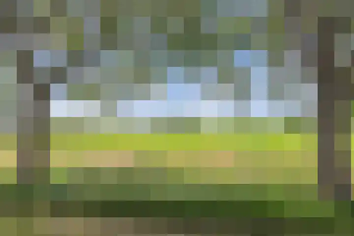 Tillewei 34 Wjelsryp thumbnail 36