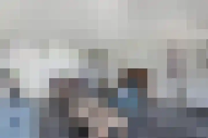 Tillewei 34 Wjelsryp thumbnail 6