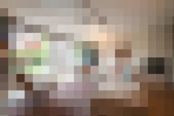Tillichstraat 29 Groningen thumbnail 17