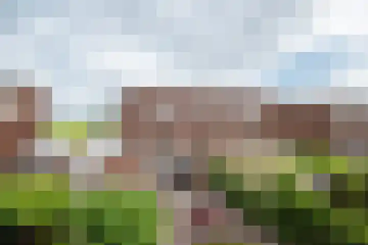 Tillichstraat 29 Groningen thumbnail 46