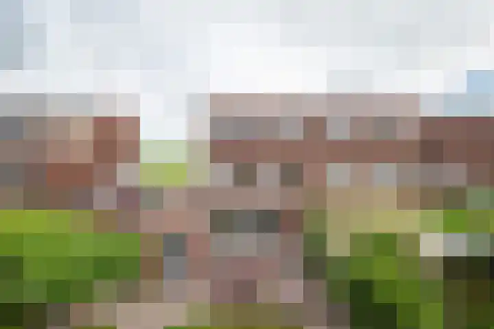 Tillichstraat 29 Groningen thumbnail 47