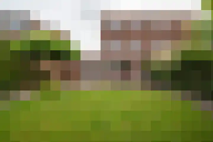 Tillichstraat 29 Groningen thumbnail 49