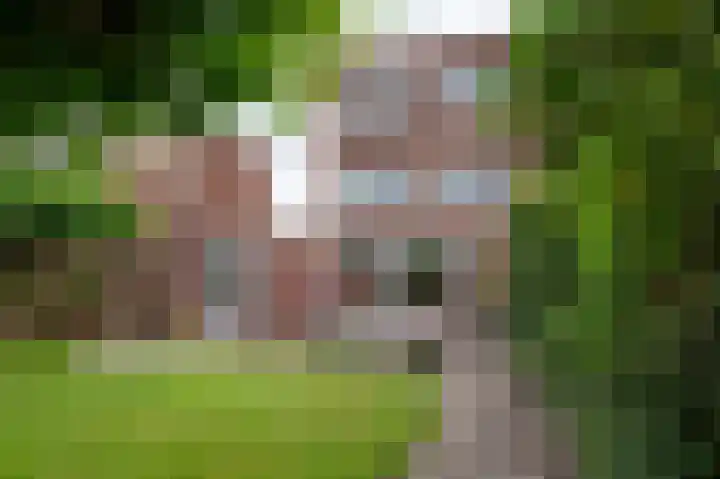 Tillichstraat 29 Groningen thumbnail 50