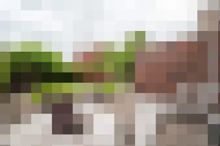 Tillichstraat 29 Groningen thumbnail 52