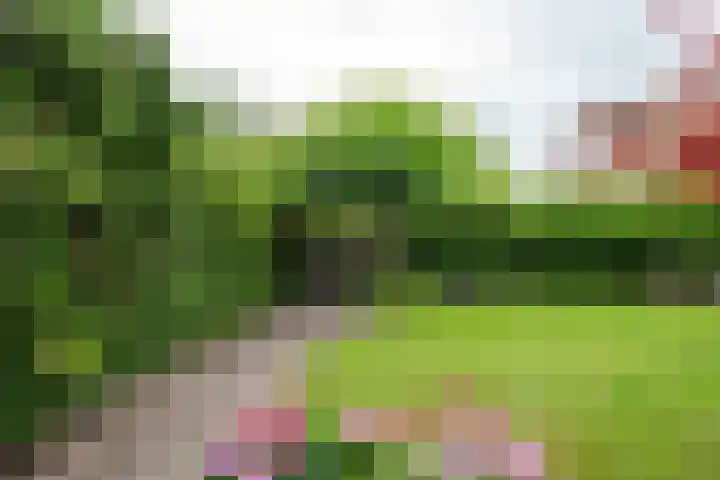 Tillichstraat 29 Groningen thumbnail 54