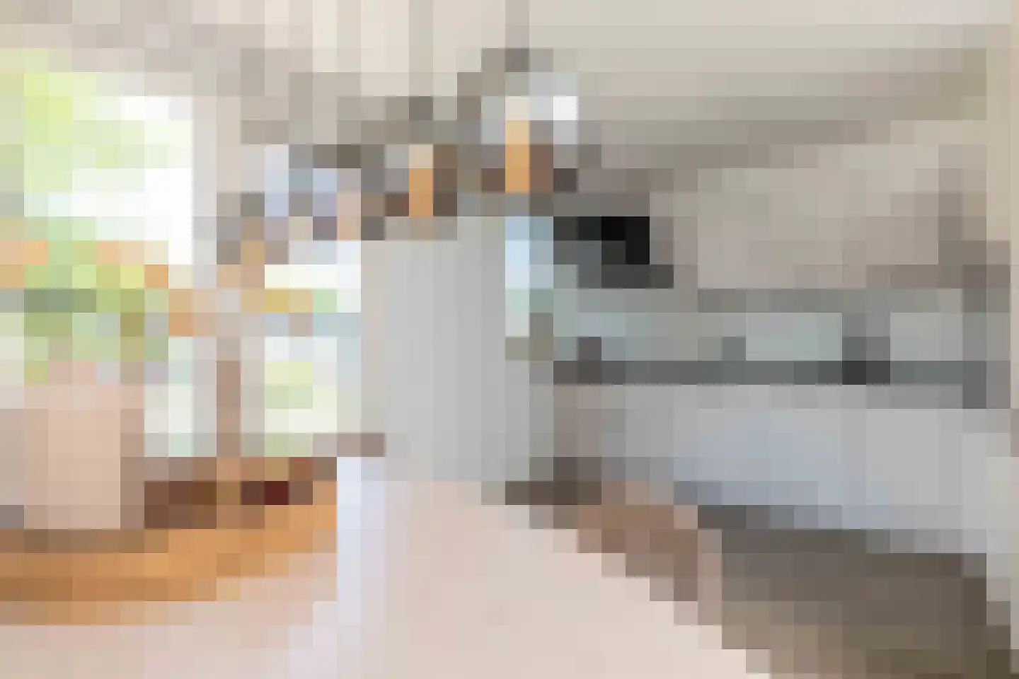 Tilligtebrink 18 Enschede thumbnail 14