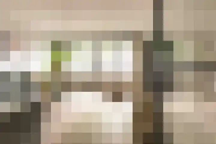 Tilligtebrink 18 Enschede thumbnail 6
