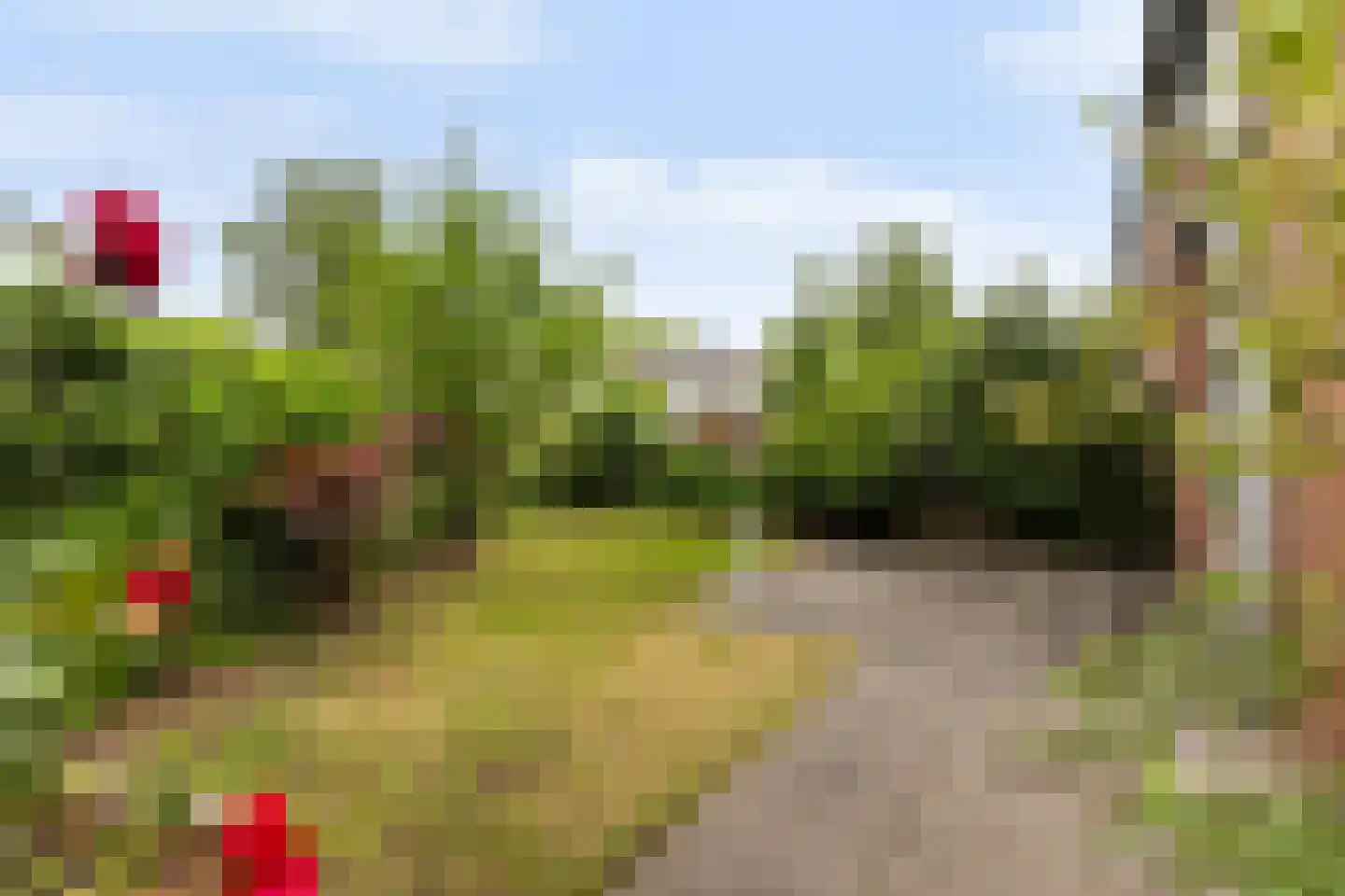 Tilligterbeek 13 Zwolle thumbnail 10
