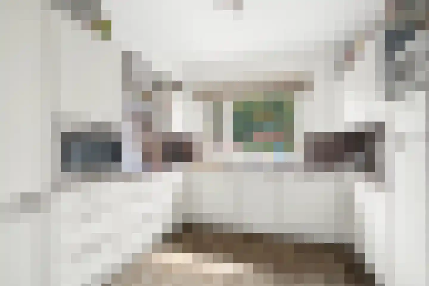 Tilligterbeek 39 Zwolle thumbnail 12