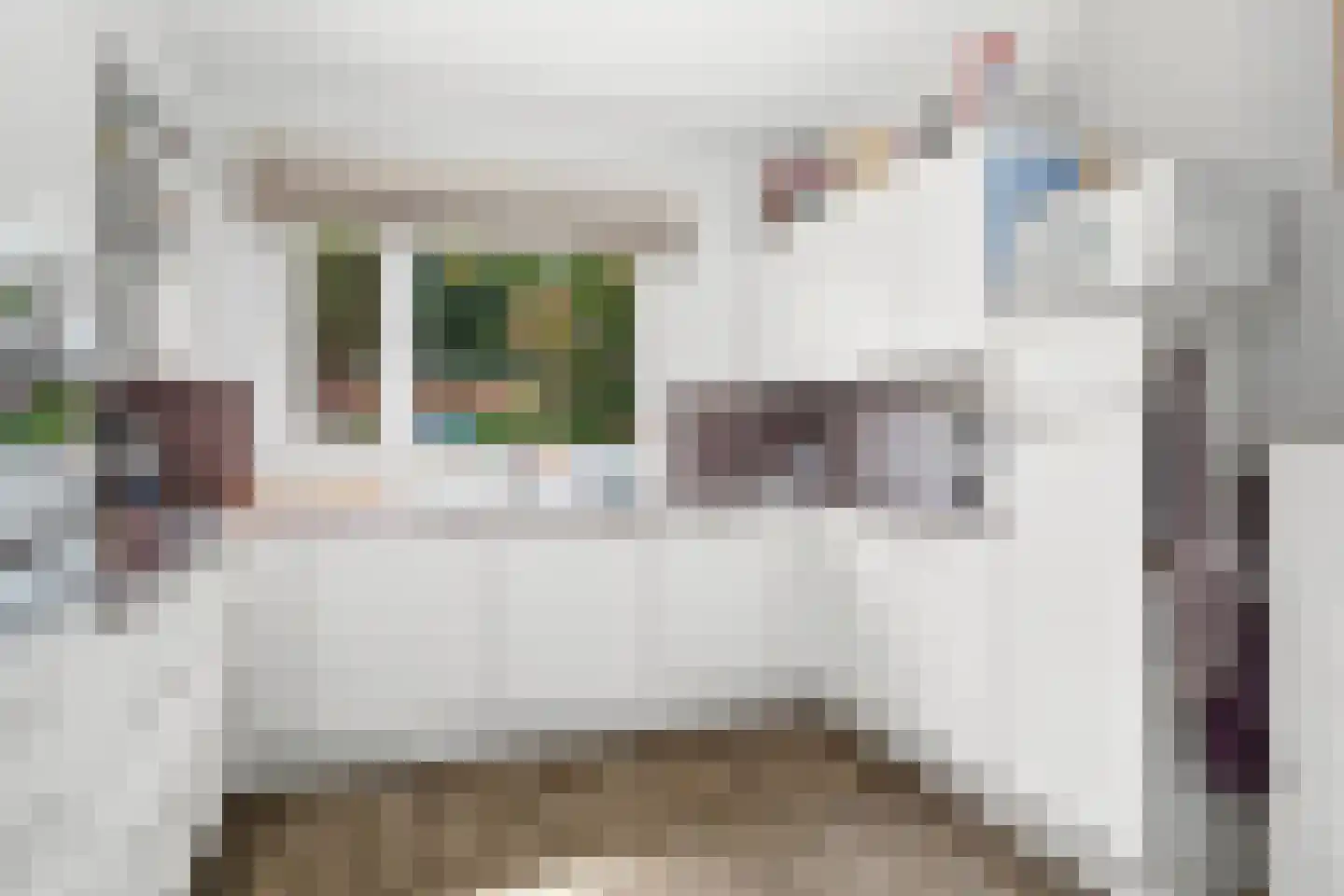 Tilligterbeek 39 Zwolle thumbnail 13