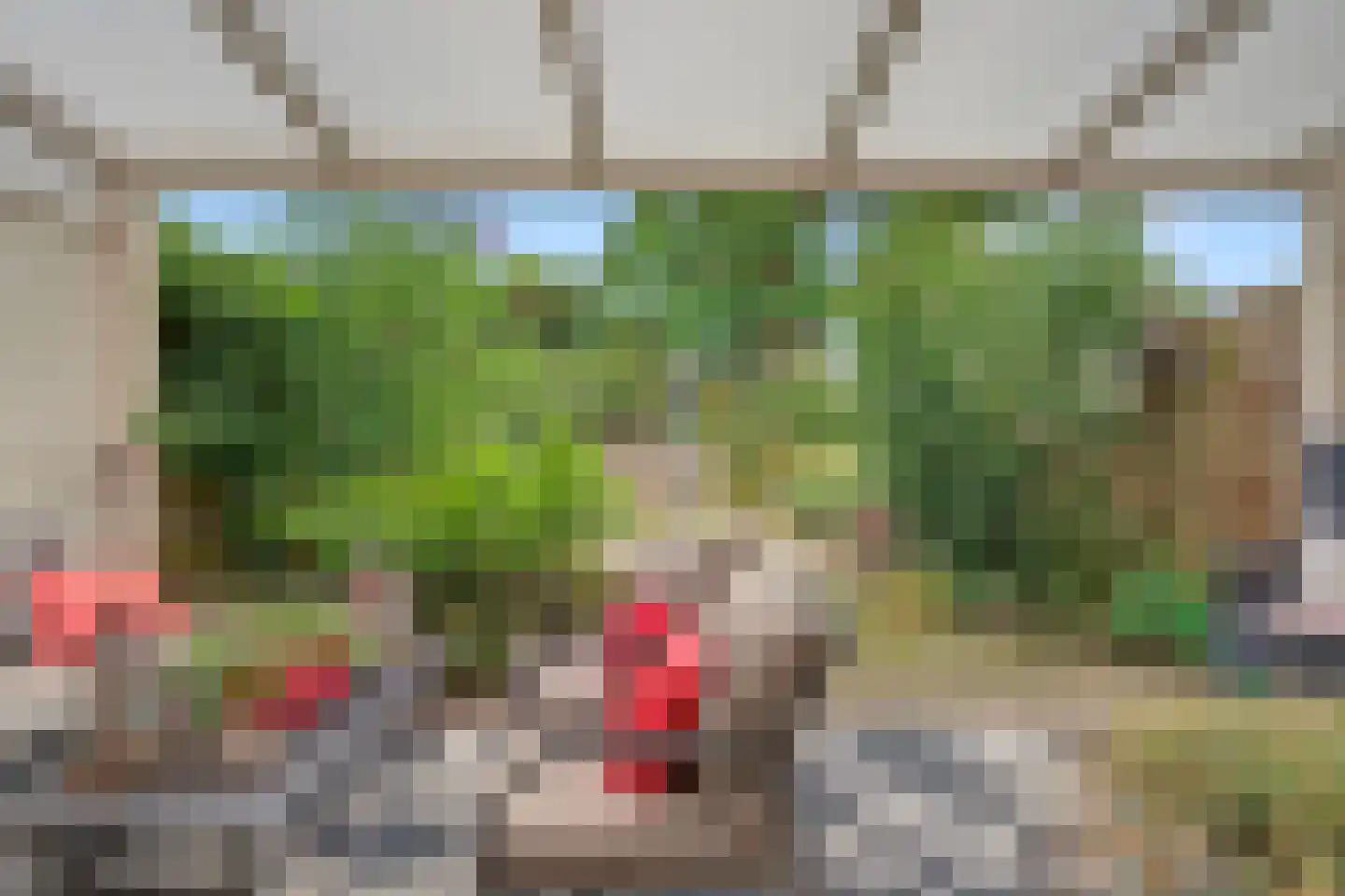 Tilligterbeek 39 Zwolle thumbnail 27