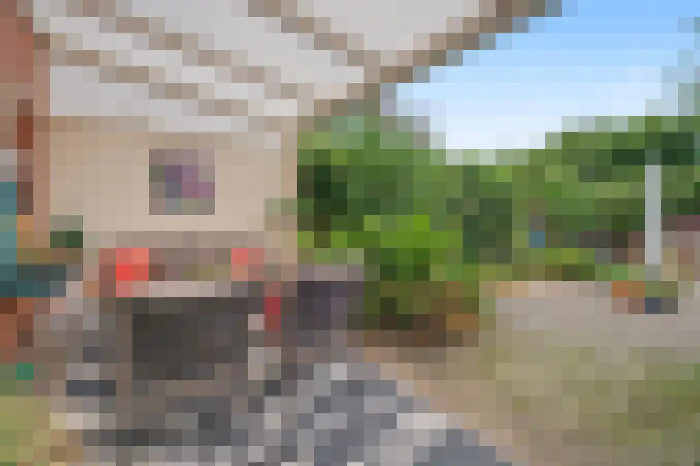 Tilligterbeek 39 Zwolle thumbnail 28
