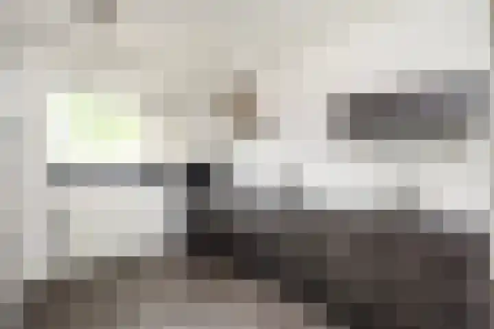 Tilligterbeek 48 Zwolle thumbnail 10
